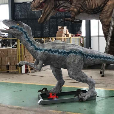 Dinosauro del parco a tema del modello del Velociraptor del dinosauro Animatronic realistico a grandezza naturale