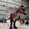 Costume da dinosauro realistico da museo Suoni lunghi per età adulta da 8 m personalizzati